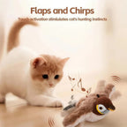 Interactive Flying Bird Cat Toy